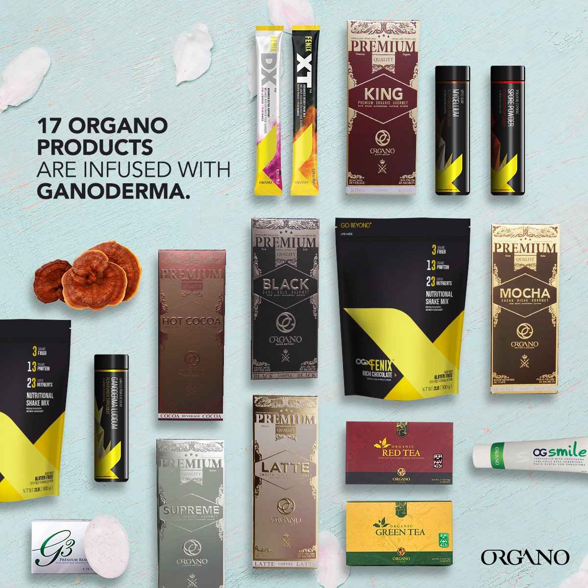 Image Title My Image